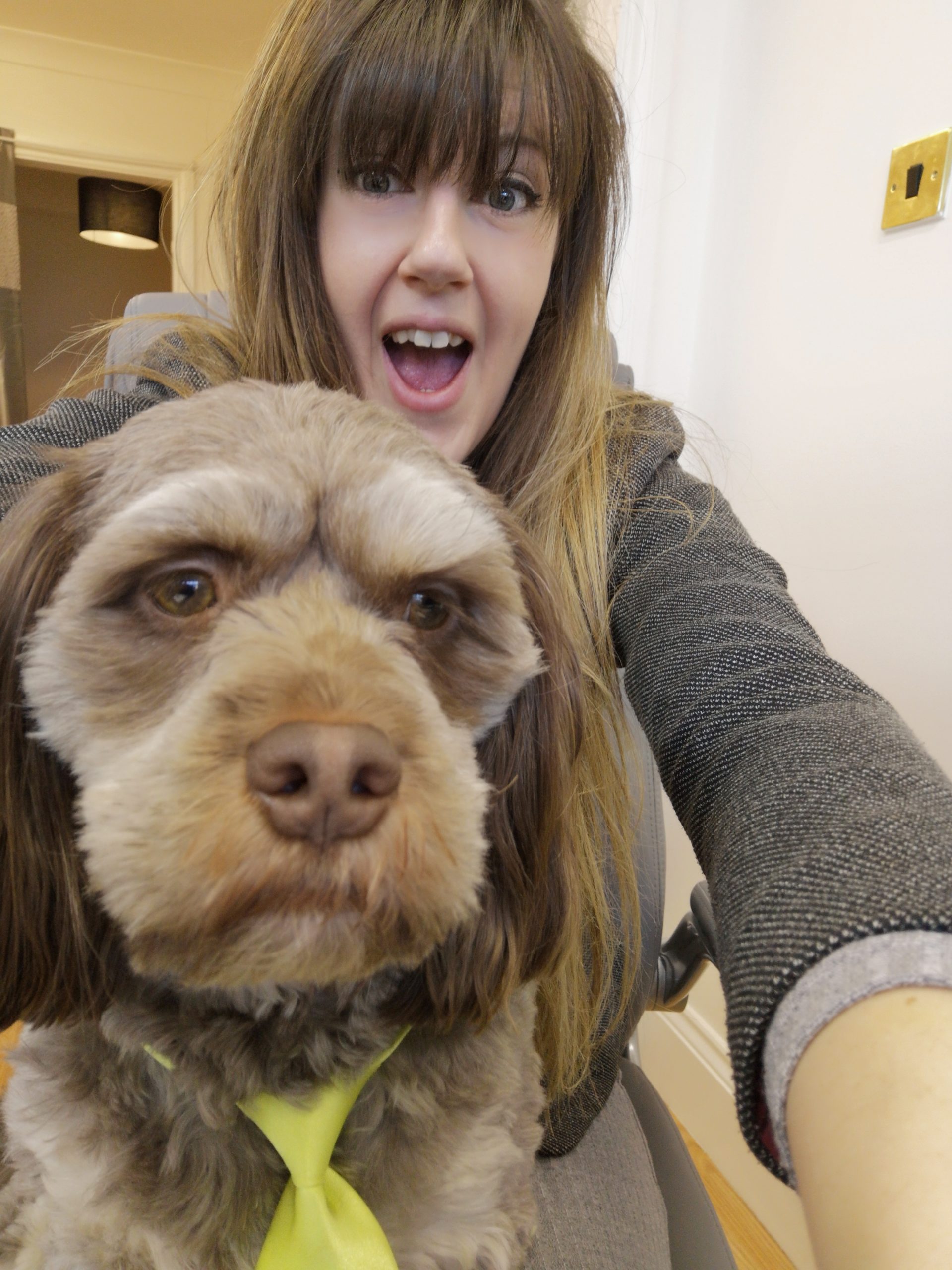 Hum Dog Dog Days 1- An estate agent dog shares his thoughts so far of what his ...