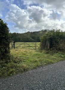 Land For Sale, Llanycefn, clynderwen, SA66 7LN