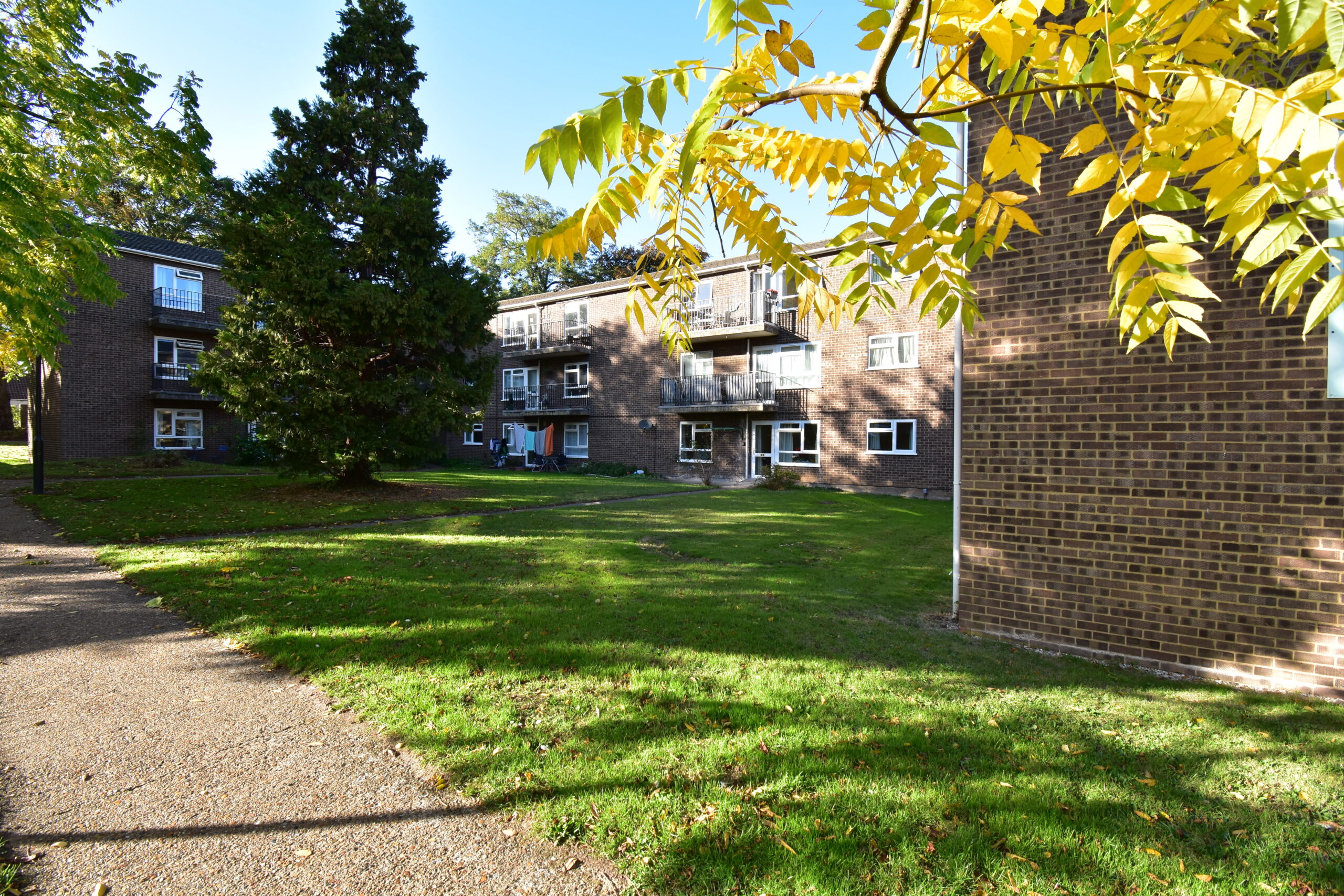 Watson Grove, Norwich, NR2 4LF